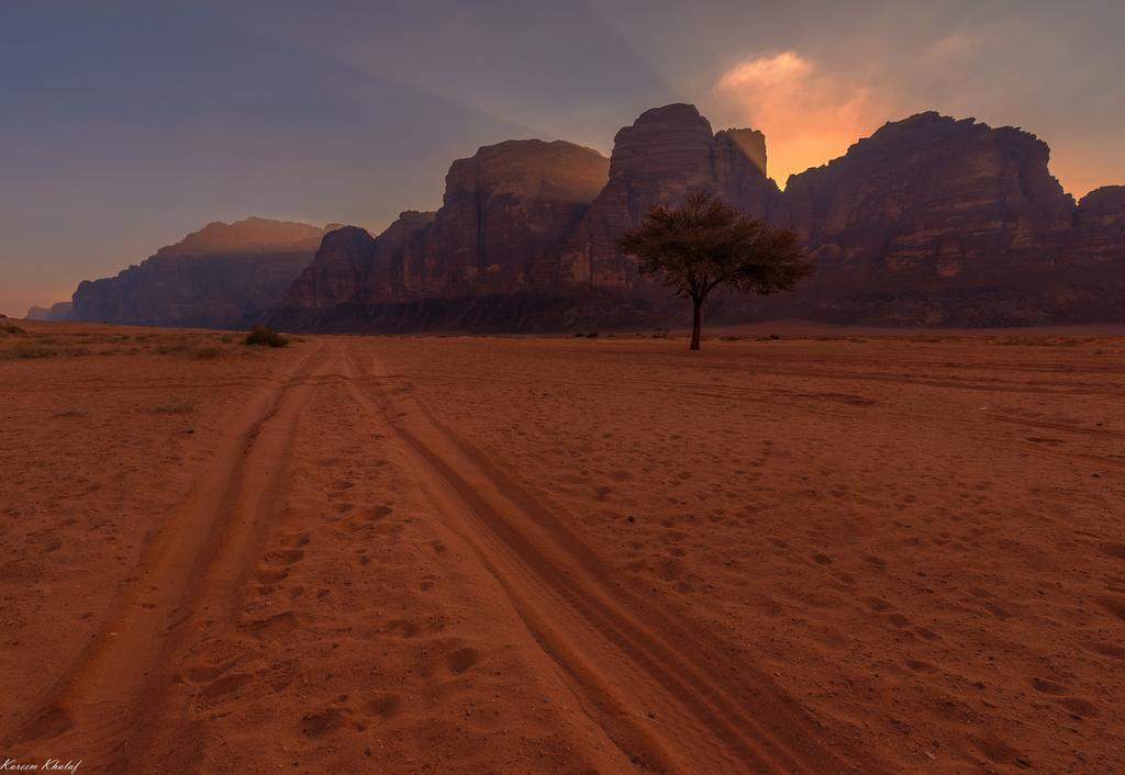 Obeid'S Bedouin Life Camp Otel Ram Vadisi Dış mekan fotoğraf